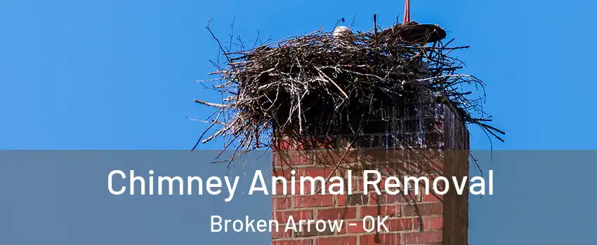  Chimney Animal Removal Broken Arrow - OK