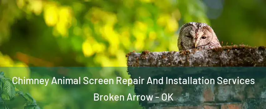  Chimney Animal Screen Repair And Installation Services Broken Arrow - OK