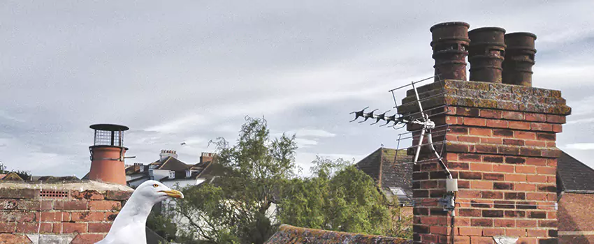 Chimney Cleaning And Restoration in Broken Arrow, Oklahoma